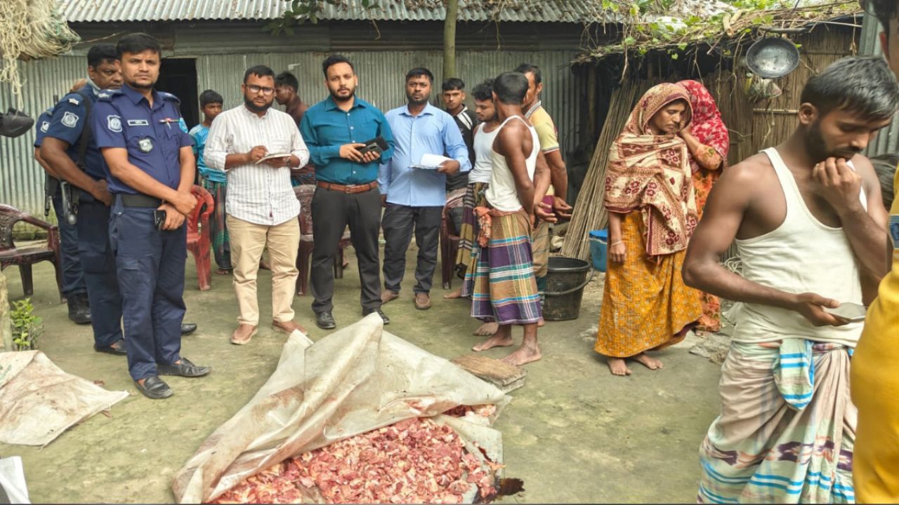 অসুস্থ গরু জবাইয়ের দায়ে জরিমানা ও মাংস বাজেয়াপ্ত