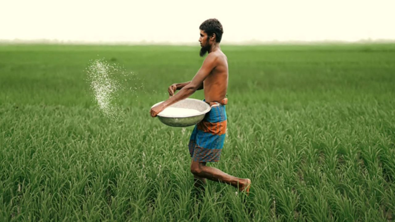 কীটনাশকের বাজার দাম বেড়েছে ২০ শতাংশ