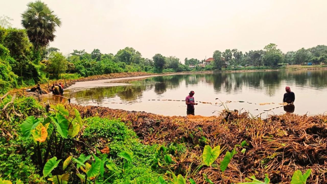 বিচারধীন দিঘিতে মাছ ধরার অভিযোগ, আগাছা পরিষ্কারের দাবি বন বিভাগের