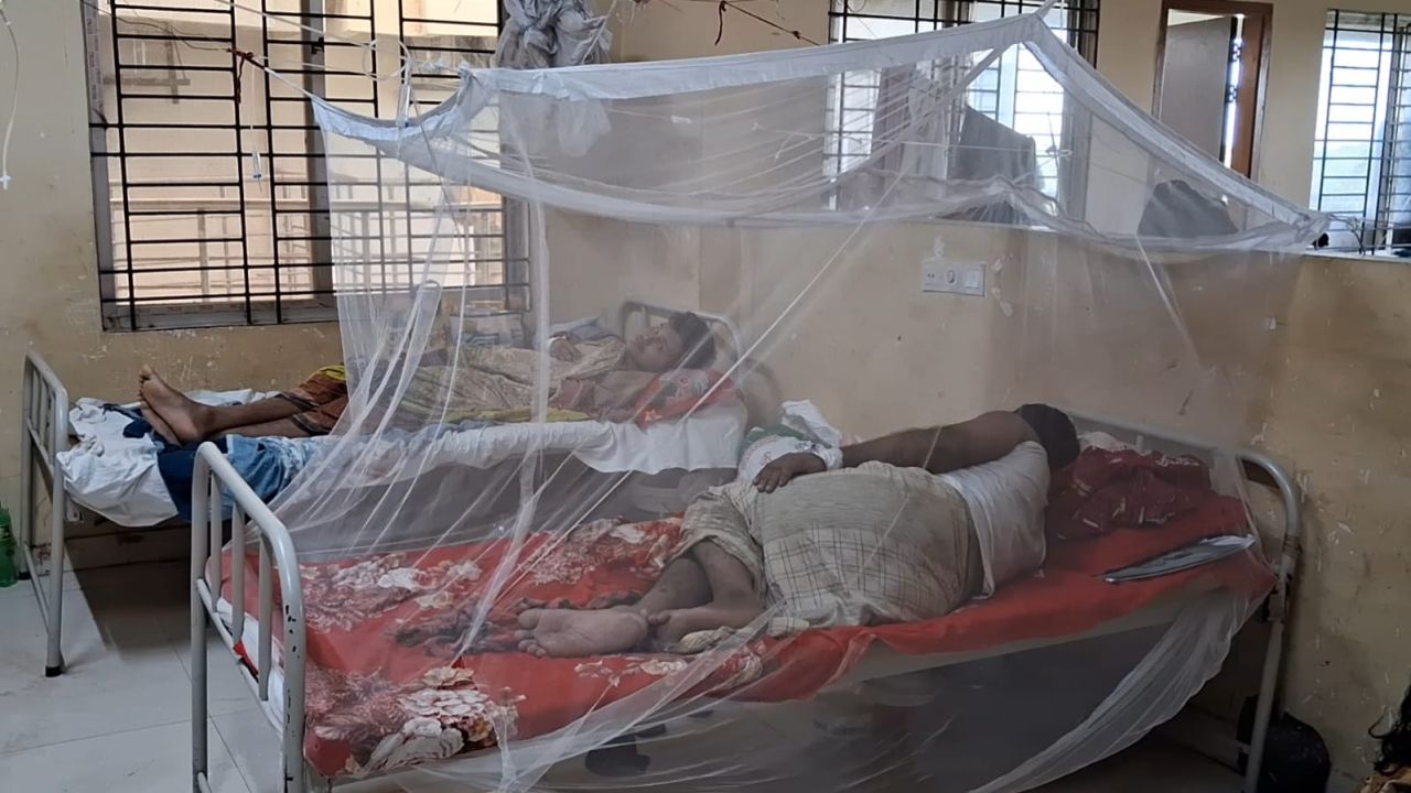 ফেনীতে ডেঙ্গু রোগী ৯২০ ছাড়াল, ২৪ ঘণ্টায় শনাক্ত ২৫