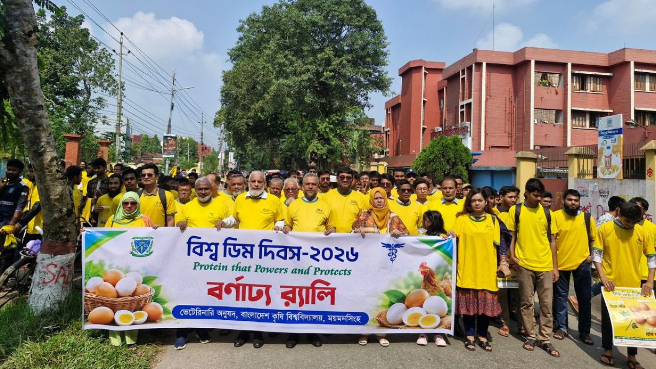 বিশ্ব ডিম দিবস উপলক্ষে বাকৃবিতে সাড়ে তিন হাজার ডিম বিতরণ