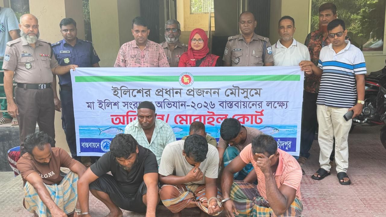 চাঁদপুরে মা ইলিশ শিকারের অভিযোগে ১০ জেলে আটক