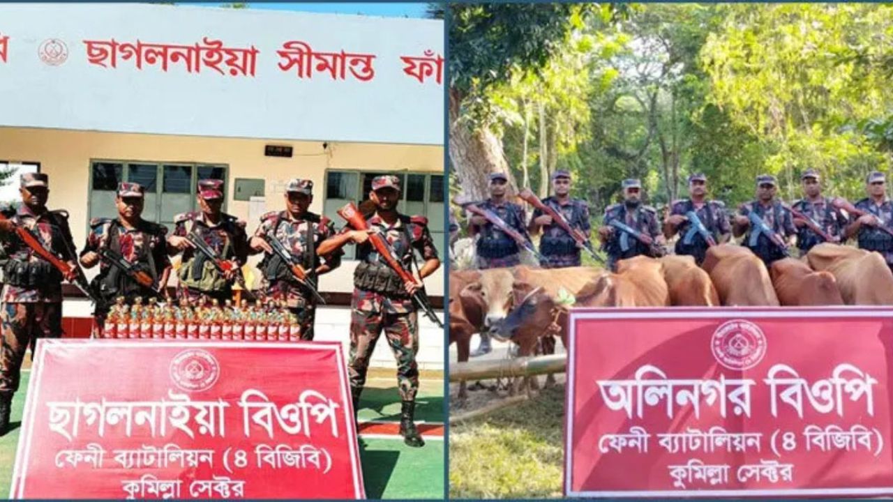 ফেনী সীমান্তে মদ ও গরুর চালানসহ অর্ধকোটি টাকার মালামাল জব্দ