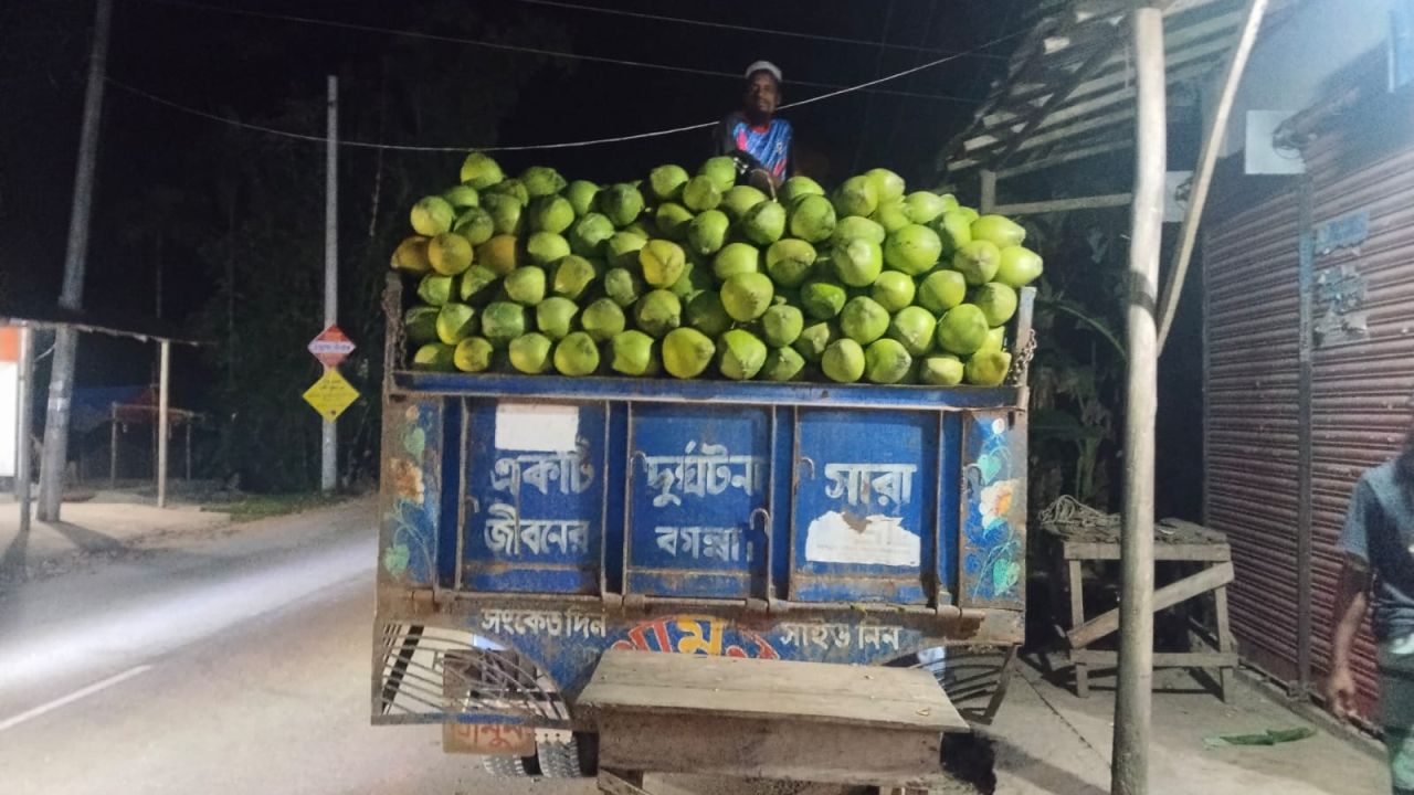 উপকূলীয় জনপদে ডাবের শতকোটি টাকার বাণিজ্য