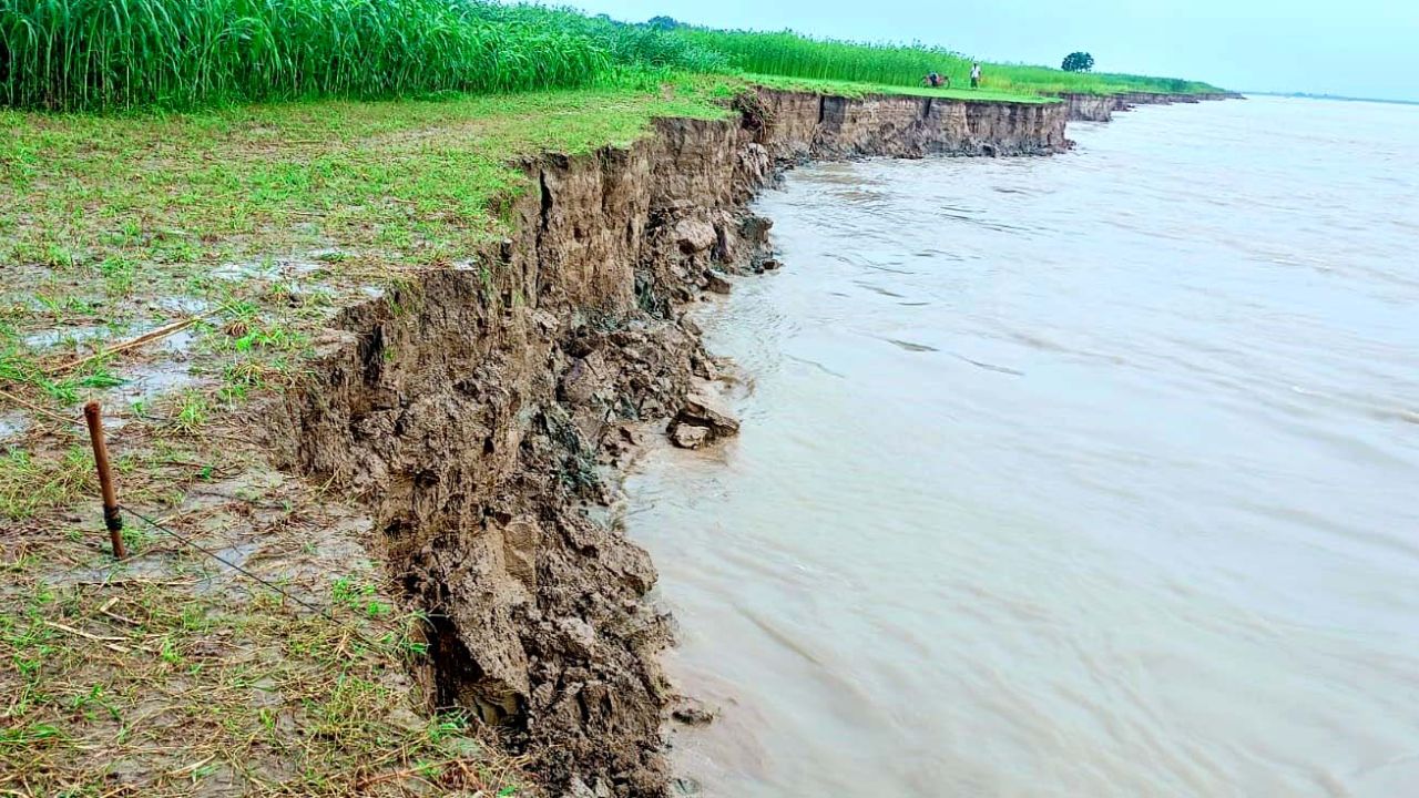 পদ্মার ভাঙনে ভেড়ামারায় দুই মাসে ৫০০ বিঘা জমি বিলীন