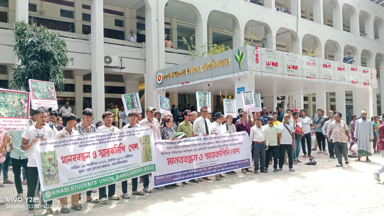 কুলাউড়ায় ৮ হাজারের বেশি পানগাছ কাটায় ক্ষতিপূরণসহ পাঁচ দফা দাবি