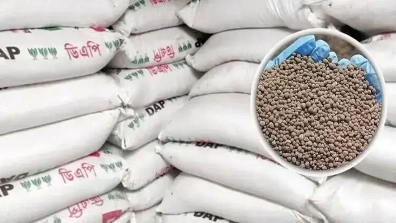 ফরিদপুরে লাখ লাখ টাকায় সারের লাইসেন্স বিক্রির অভিযোগ