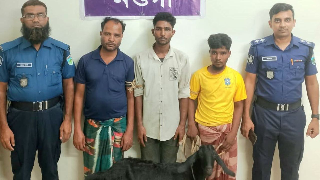 পত্নীতলায় চোরাই ছাগলসহ আটক ৩