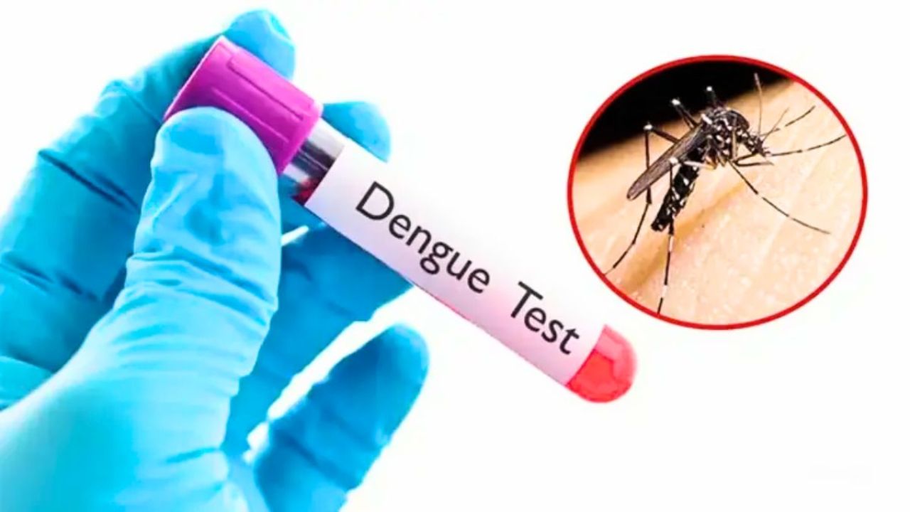 ডেঙ্গুতে আরও ১০ জনের মৃত্যু, হাসপাতালে ১,৯৪৩