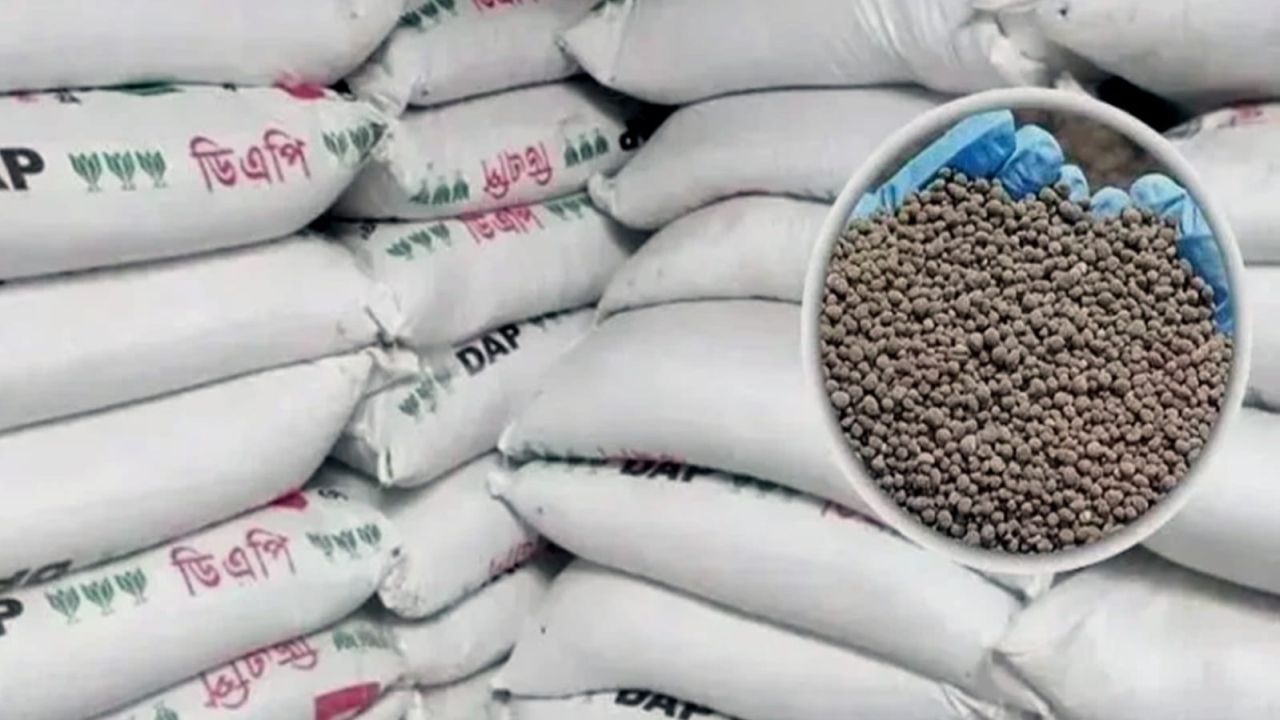ফরিদপুরে সারের ডিলারশিপে বাণিজ্য, ক্ষুব্ধ বিএনপিকর্মীরা