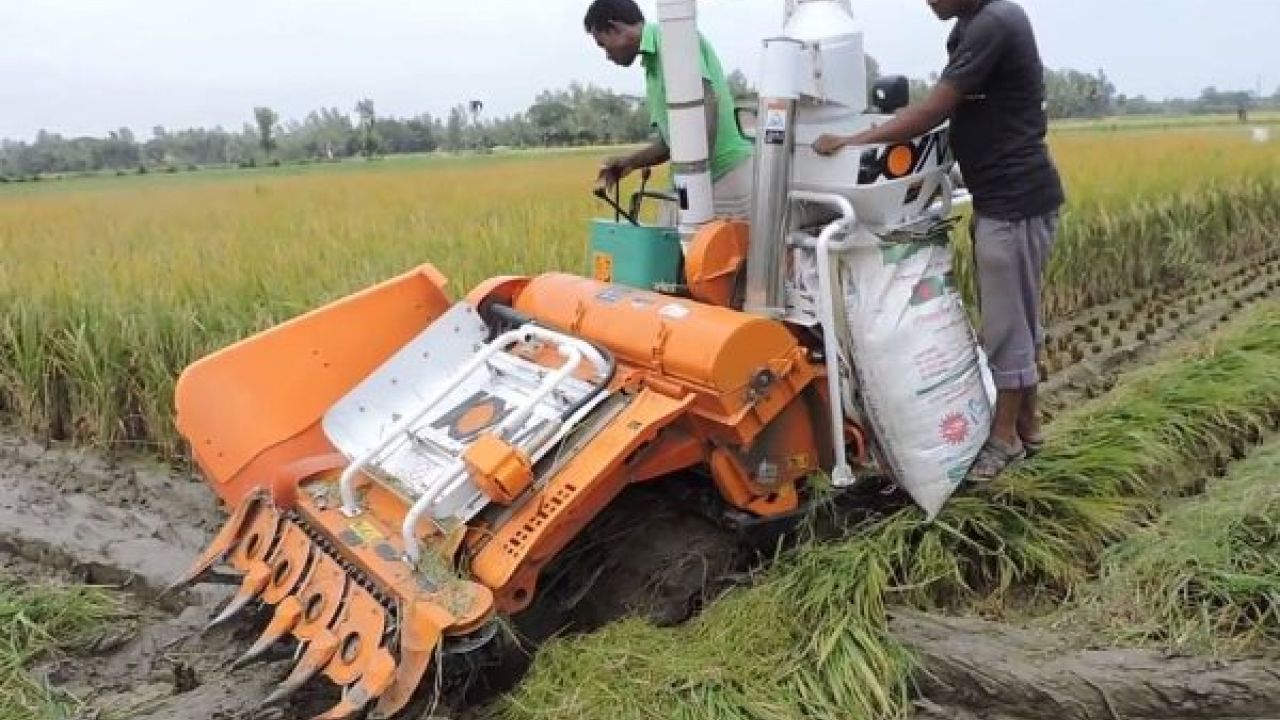 খাদ্যনিরাপত্তায় উৎপাদনের পাশাপাশি চাই পুষ্টি ও সুরক্ষা 