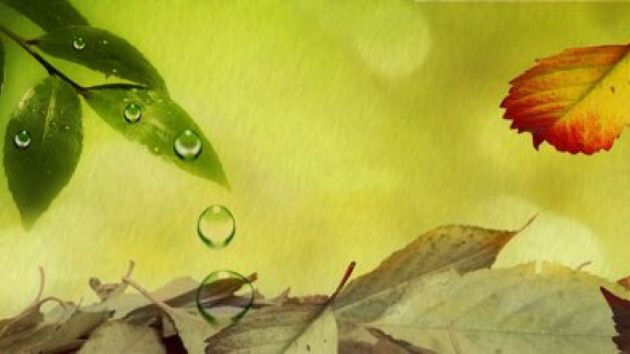 সরকারি কর্মচারীর সামাজিক দায় ও প্রচেষ্টা 