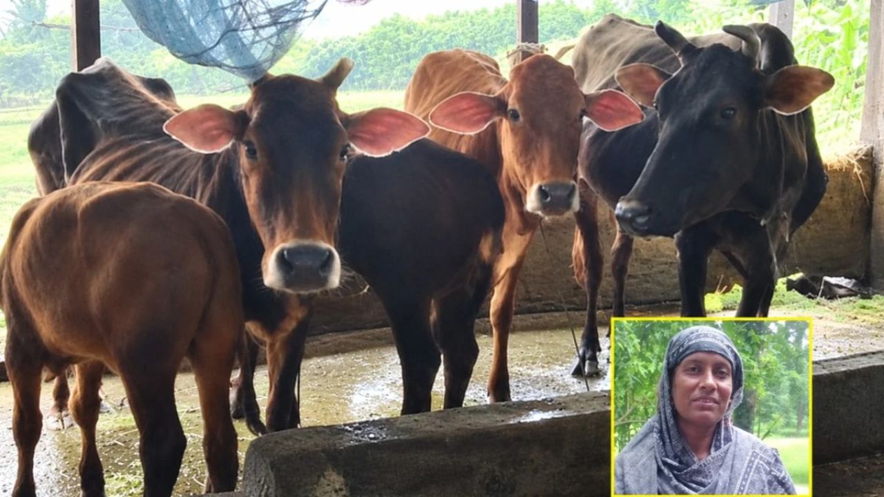 সাফল্যের গল্প : ১,৫০০ টাকার চাকরি থেকে লাখ টাকার খামার 