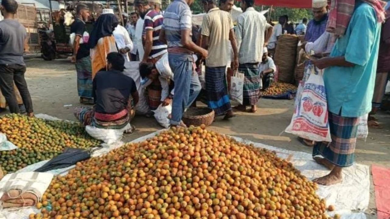 কোটি টাকার সুপারির হাটে সিন্ডিকেট ও অতিরিক্ত খাজনার চাপ