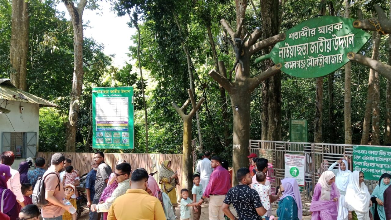 পূজার ছুটিতে পর্যটকে মুখর শ্রীমঙ্গল ও কমলগঞ্জ