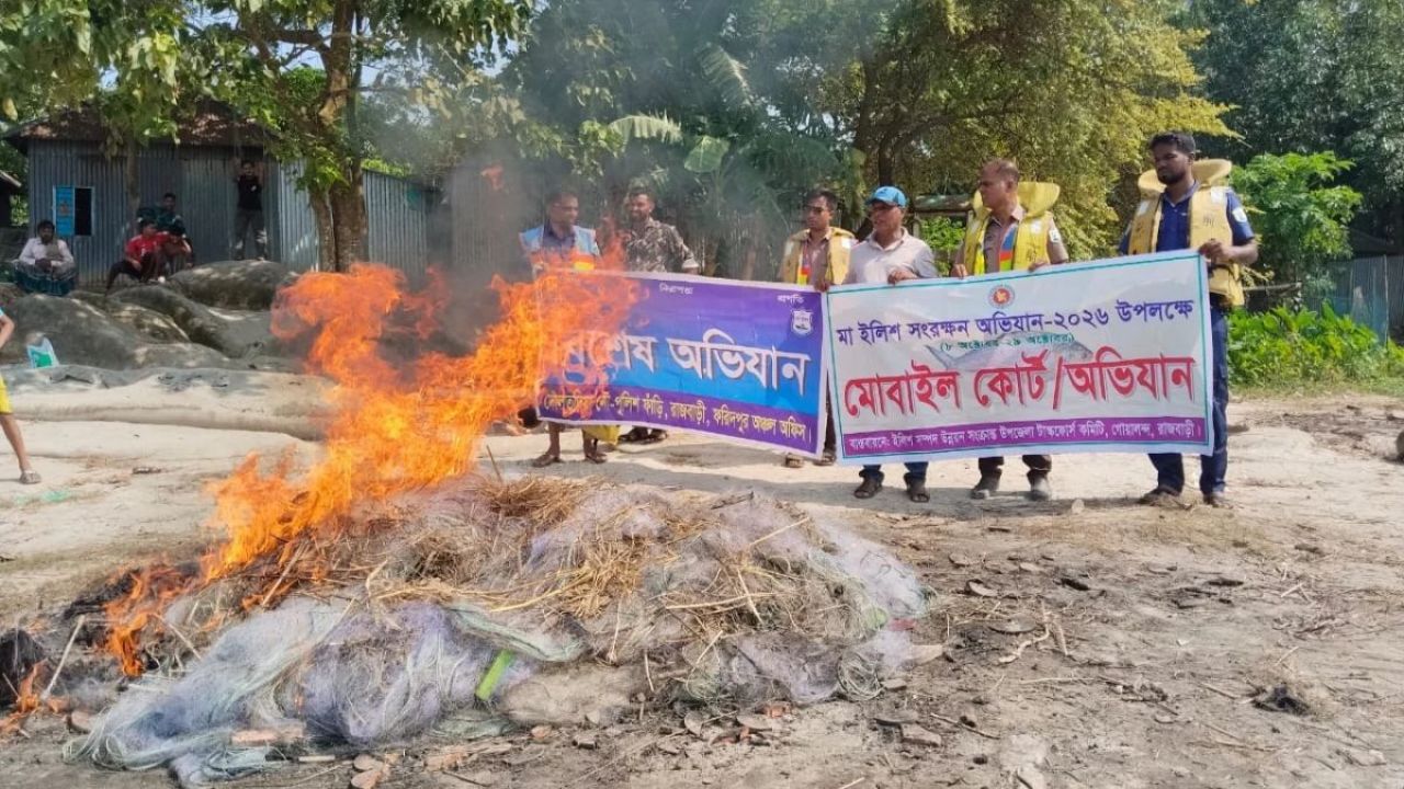 পদ্মায় অভিযান: ৫০ লাখ মিটার কারেন্ট জাল ধ্বংস, মা ইলিশ জব্দ