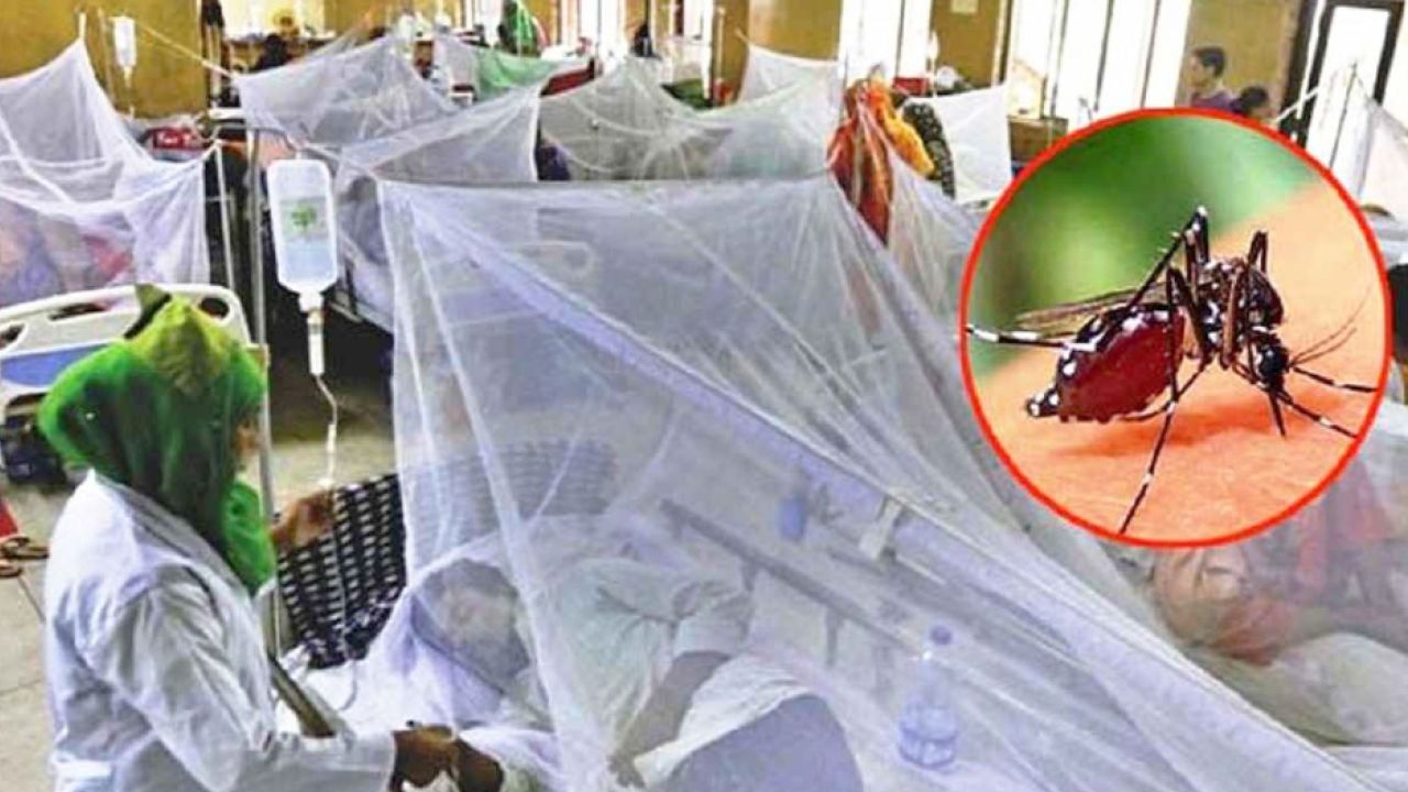 ডেঙ্গুতে একদিনেই ঝরল ৭ প্রাণ, হাসপাতালে ১৩৭৩
