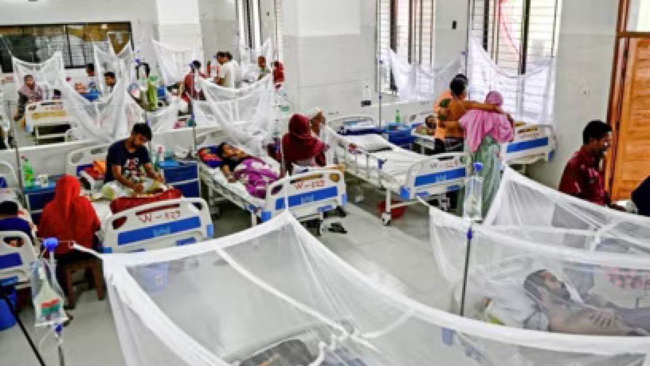 ডেঙ্গু নিয়ন্ত্রণে চাই ওয়ান হেলথভিত্তিক জাতীয় কৌশল