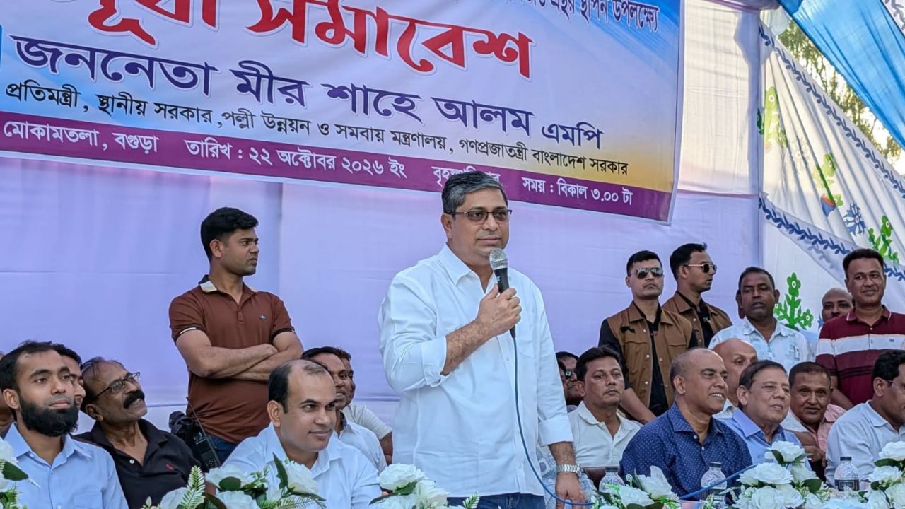 স্থানীয় নির্বাচনে সরকার হস্তক্ষেপ করবে না : প্রতিমন্ত্রী