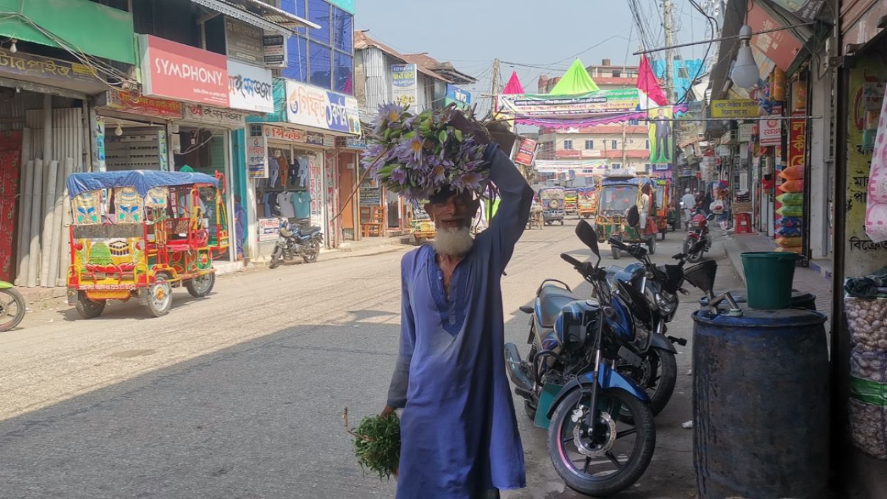‘শাপলা লাগবে শাপলা’–ডেকেও মেলে না দাম