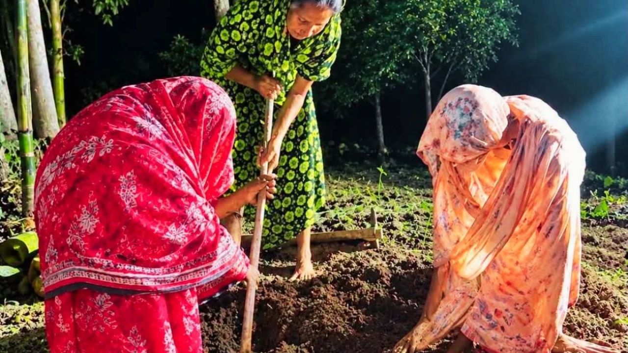 মোবাইলের আলো জ্বেলে গভীর রাতে কবর খুঁড়লেন বোনেরা