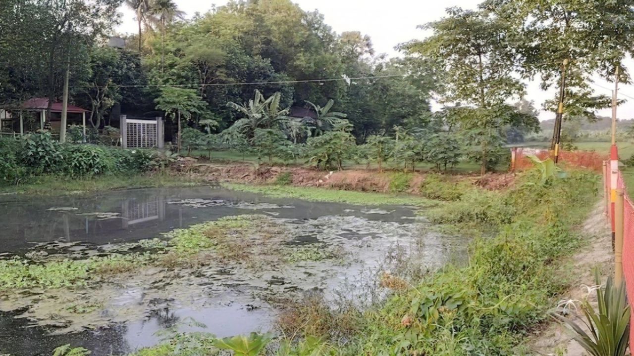 কালীগঞ্জে দুই দিনে দুই লাশ উদ্ধার, এলাকায় চাঞ্চল্য