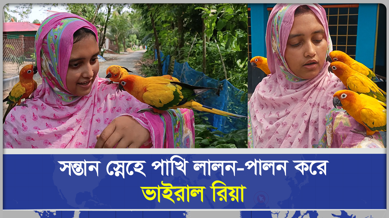 সন্তান স্নেহে পাখি পালন করে ভাইরাল রিয়া