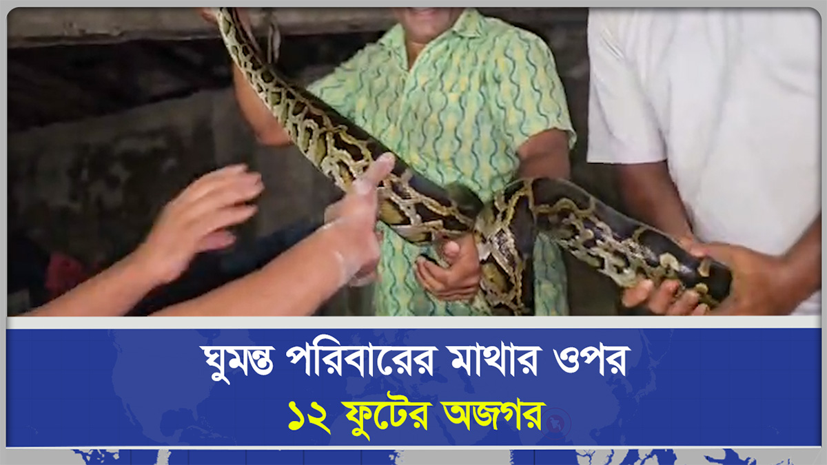  ঘুমন্ত পরিবারের মাথার ওপর ১২ ফুটের অজগর