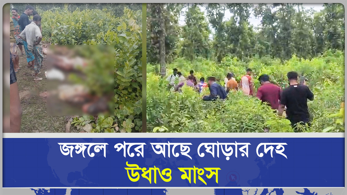 জঙ্গলে পরে আছে ঘোড়ার দেহ উধাও মাংস