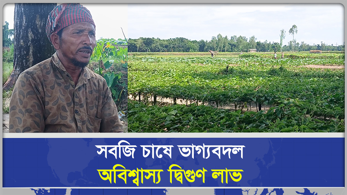  ঝড় বৃষ্টির মাঝেও যেভাবে সবজি চাষে দ্বিগুণ লাভ করলেন কুড়িগ্রামের চাষিরা