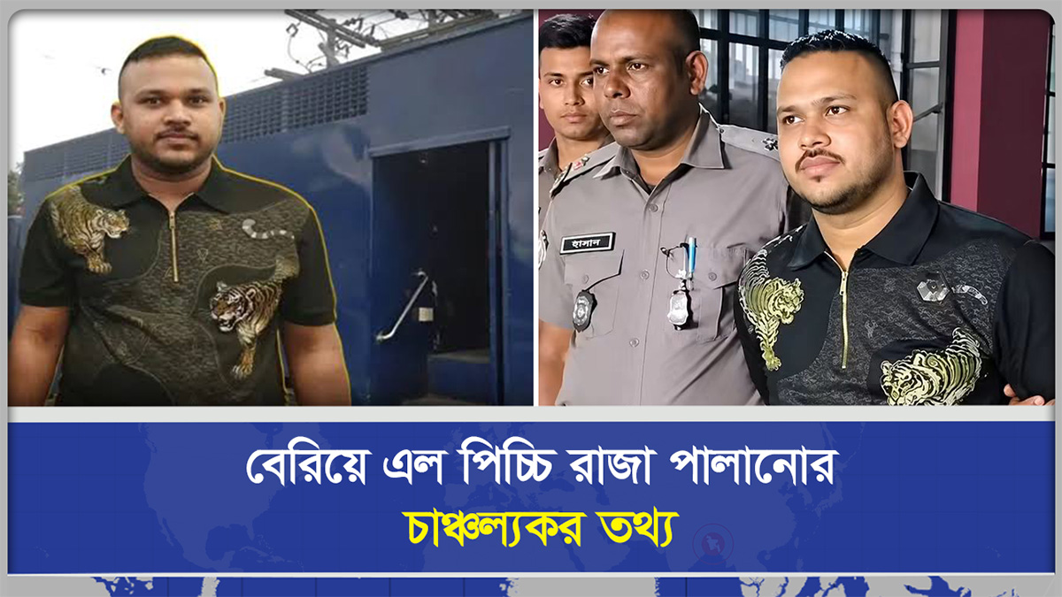 পিচ্চি রাজা পালানোর আসল রহস্য ফাঁস
