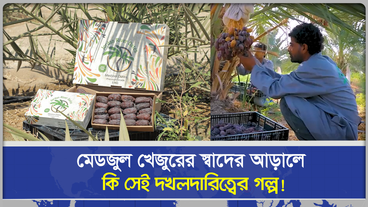 মেডজুল খেজুরের স্বাদের আড়ালে কি সেই দখ/লদারিত্বের গল্প