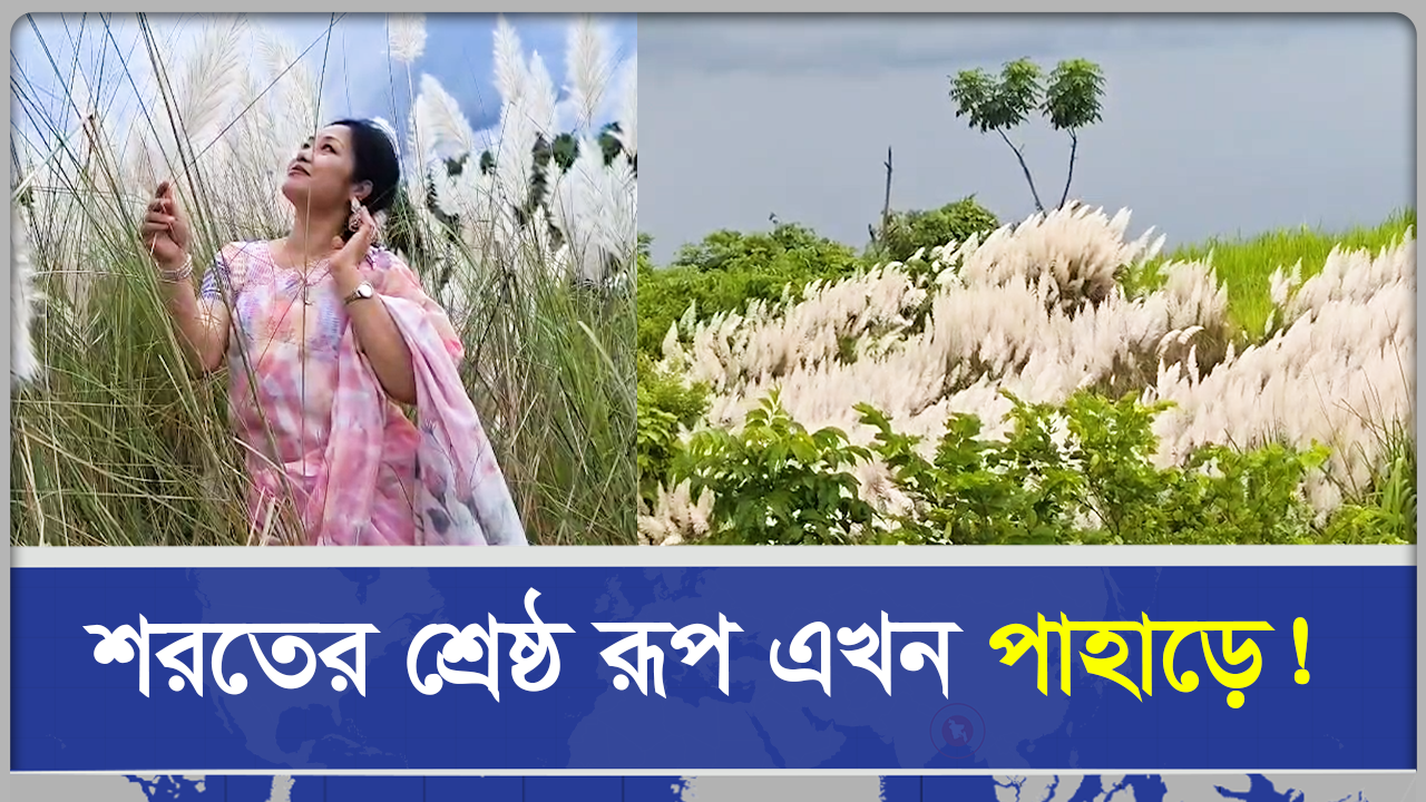  শরতের শ্রেষ্ঠ রূপ এখন খাগড়াছড়ির পাহাড়ে