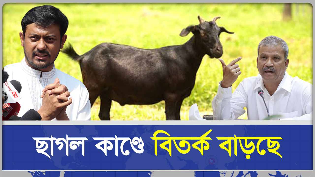 ছাগল নিয়ে বিতর্ক তুঙ্গে