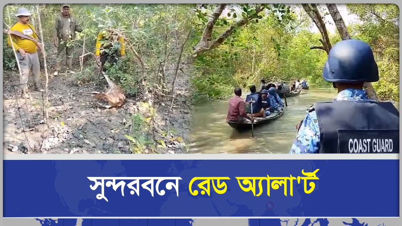 সুন্দরবনে রেড অ্যা/লার্ট