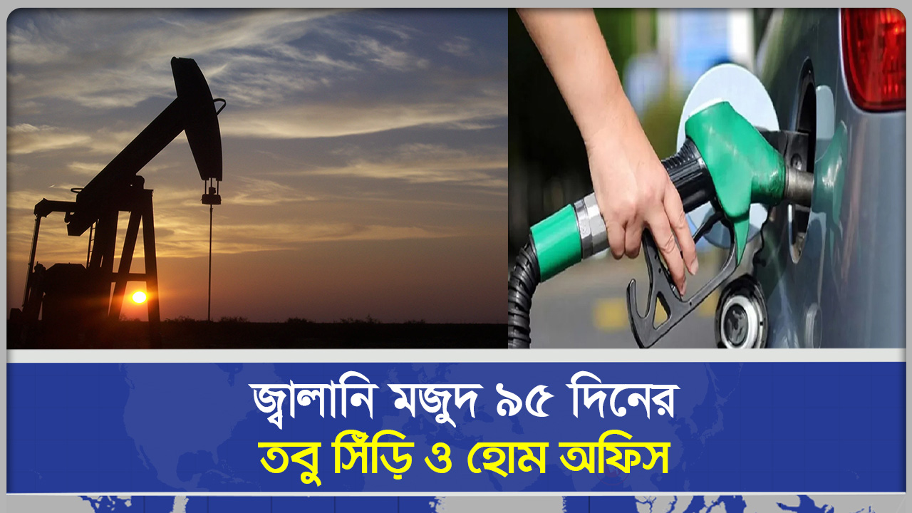 জ্বালানি মজুদ ৯৫ দিনের, তবু সিঁড়ি ব্যবহার ও হোম অফিসের নির্দেশ