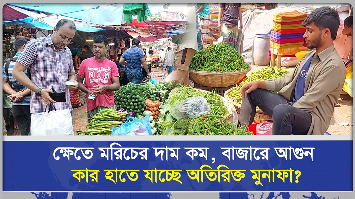 ক্ষেতে মরিচের দাম কম, বাজারে আগুন, মাঝের টাকা যাচ্ছে কোথায়?
