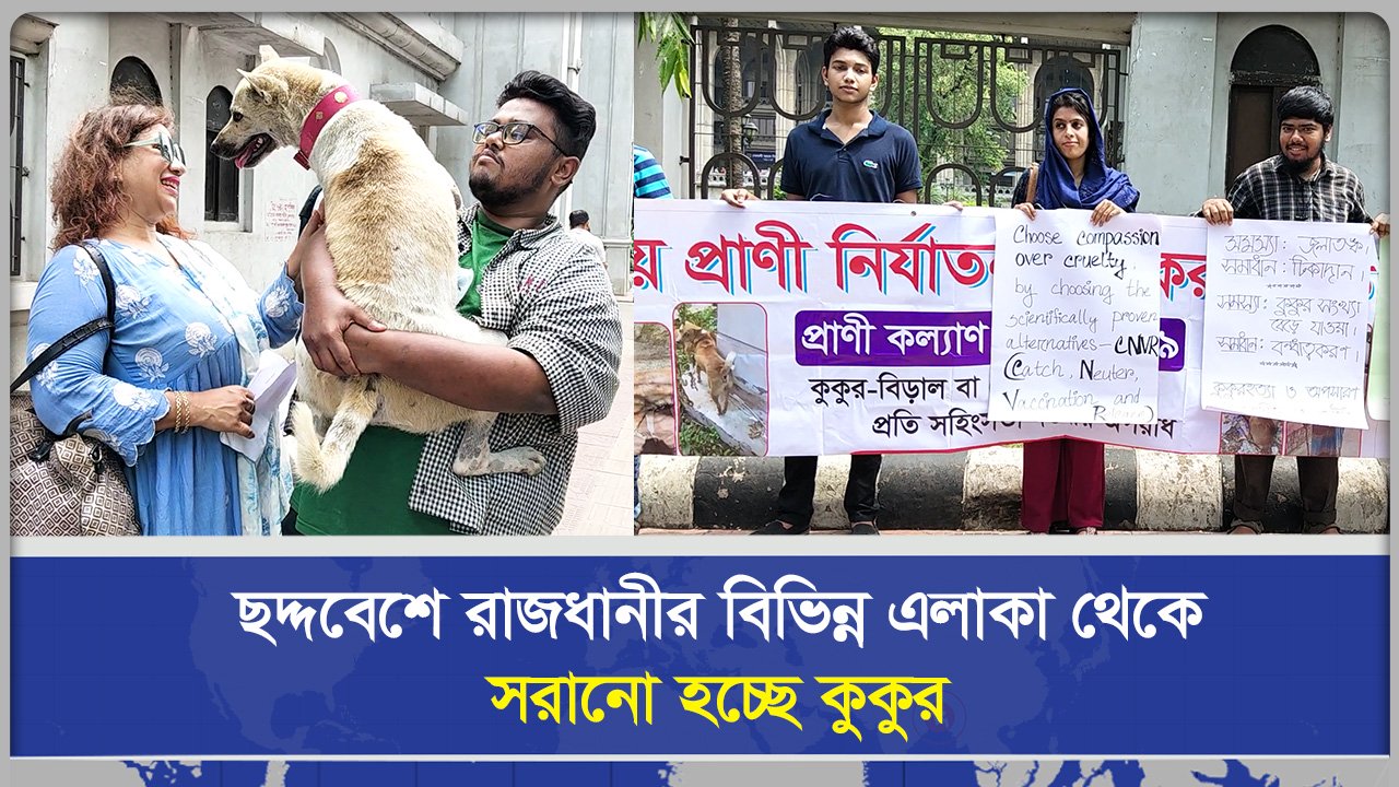  ছদ্দবেশে রাজধানীর বিভিন্ন এলাকা থেকে সরানো হচ্ছে কুকুর